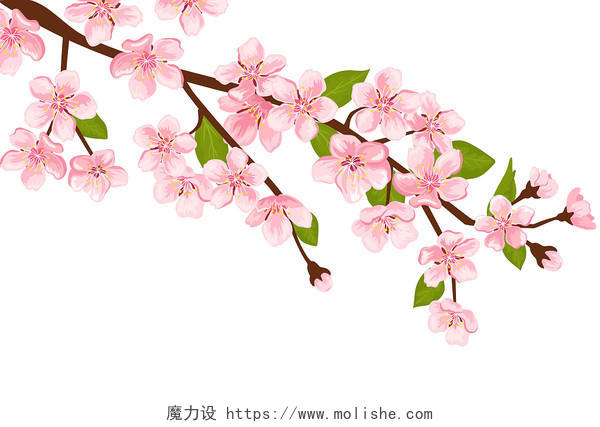 粉色唯美梦幻春天樱花花朵元素素材